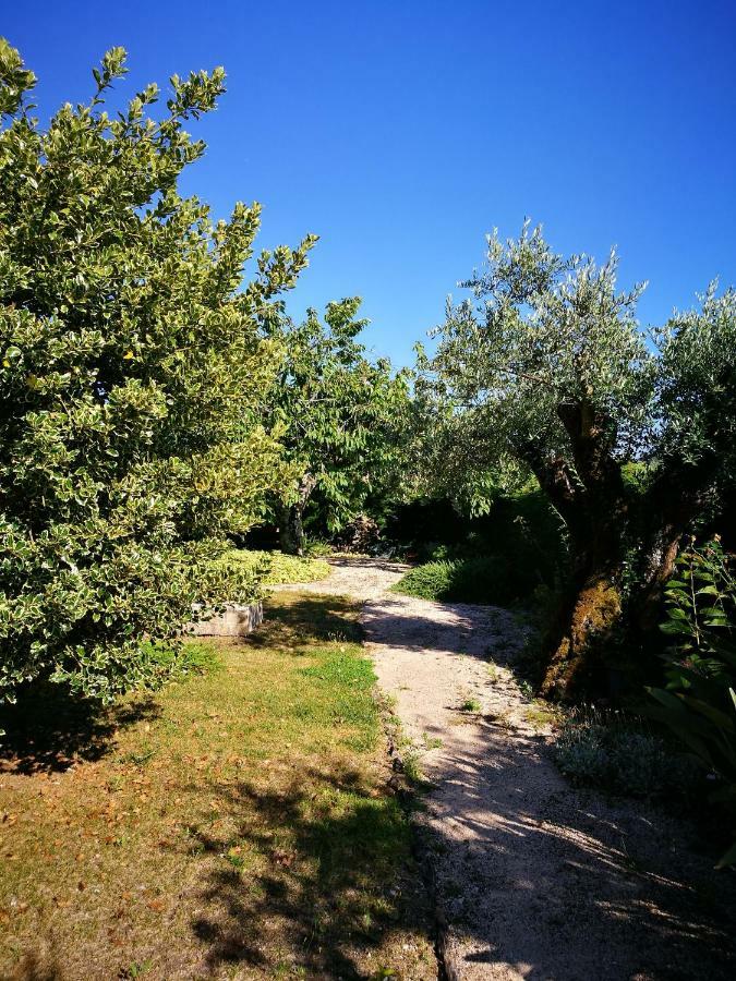 Вилла A Casa Da Fonte Alviobeira Экстерьер фото